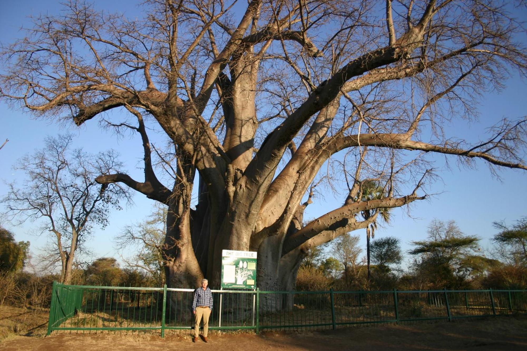 Room In Villa - Zambezi Family Lodge - Elephant Room วิกตอเรียฟอลส์ ภายนอก รูปภาพ